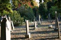 Cmentarze Glasnevin Cemetery in Dublin [cmentarze]