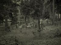 Cmentarze (cmentarze)