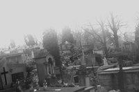 Cmentarze [cmentarze]