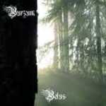 Burzum, Belus, Varg Vikernes, black metal, ambient