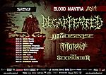 Decapitated, metal, Blood Mantra Tour 2014, Thy Disease, Materia, The Sixpounder