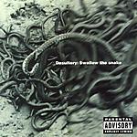 Desultory, death metal, Swallow The Snake, The Metal Archives, melo-death, hardcore