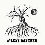 Nemoreus, Silent Watch, black metal, folk metal, metal