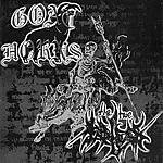 black metal, Goat Horns, The True Endless, Aphelion Records,  Witchhammer Productions