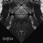 Diatom, Pies Z Kulawą Nogą, rock, proggressive rock, Michał Spryszak, Ropień