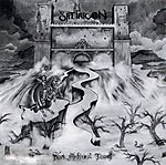 Satyricon, Dark Medieval Times, black metal