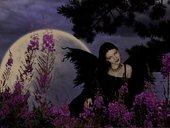Sorrow of the Moon 