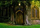 Gothic door jerema