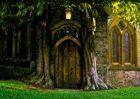 Gothic door