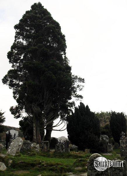 Glendalough [cmentarze]