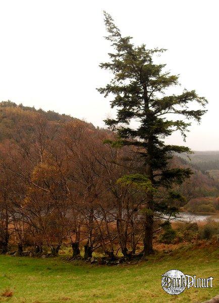 Glendalough [natura]