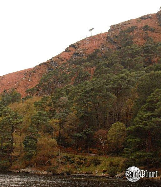 Glendalough [natura] Patrząc na to samotne drzewo ogarnął mnie smutek.