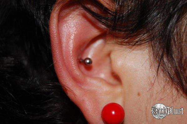 conch