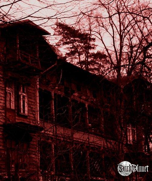 Bloody Window