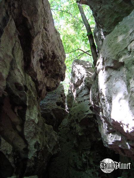 VII