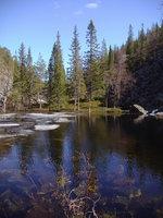 Pyhä-Luosto National Park