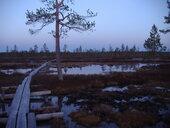 Droga przez bagna, ok 1:00 w nocy 