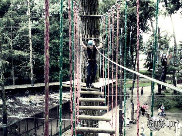 Park linowy Tarzan - Leszno 