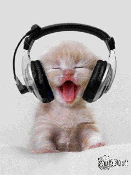 Metal cat