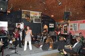 Koncert w ALIVE 