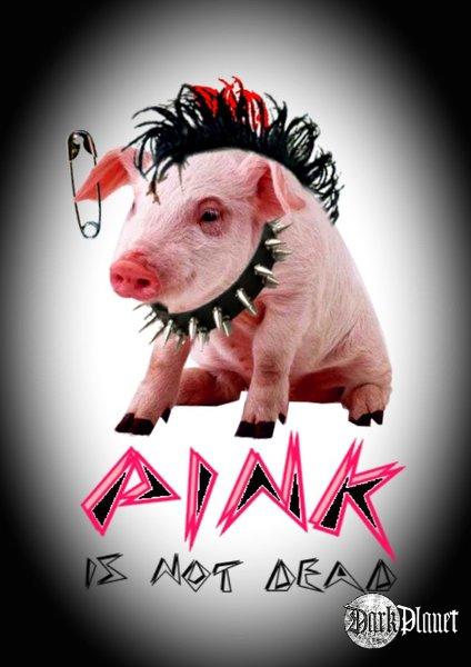 pink pig