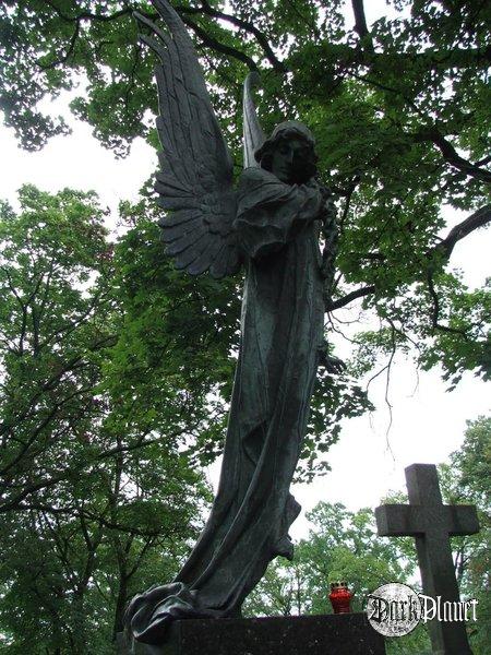 angel