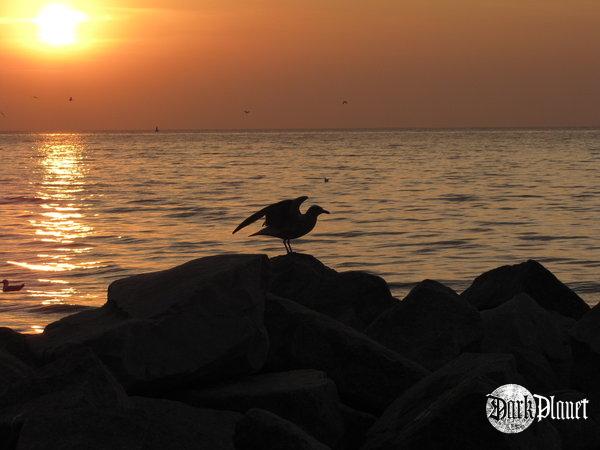 ready to fly?