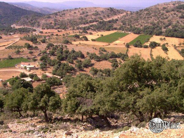 <div>kreta 1</div><br />