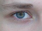 The Eye DragonHeart