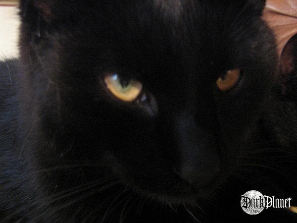 Salem