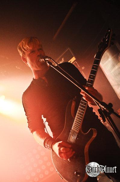 Tristania