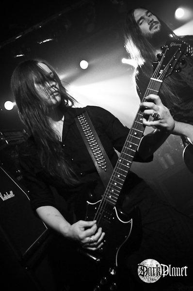 Tristania