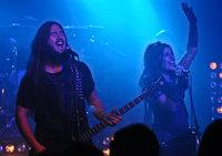 Tristania
