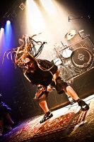 Decapitated Decapitated