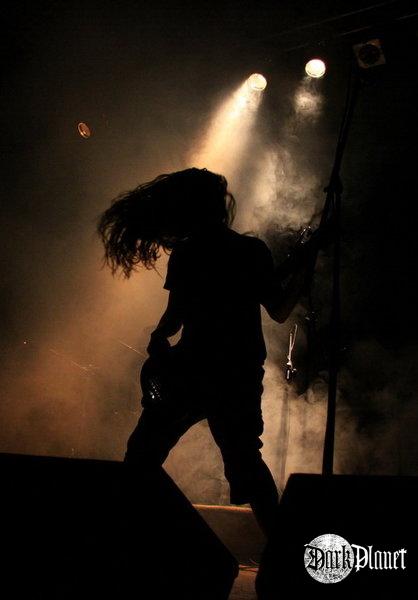 Feral