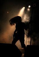 Feral