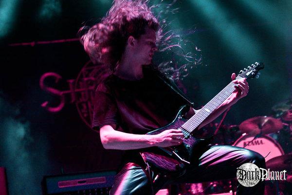 Sirenia