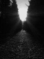 trzeba iść przed siebie