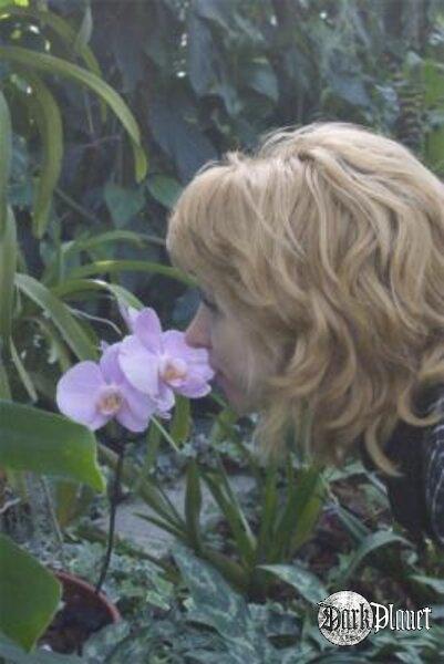 Do mego ogrodu wkradł się promień słońca I zostawił wyraźny ślad Pąków, co  leni