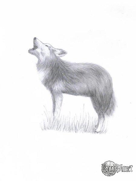 z dedykacją i wspomnieniami.