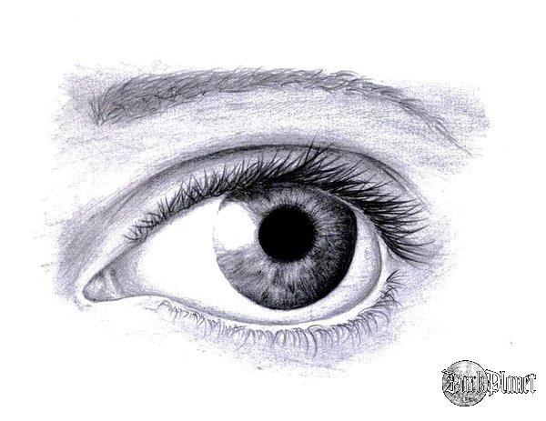 Eye