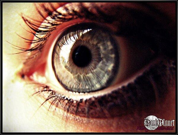 The Eye