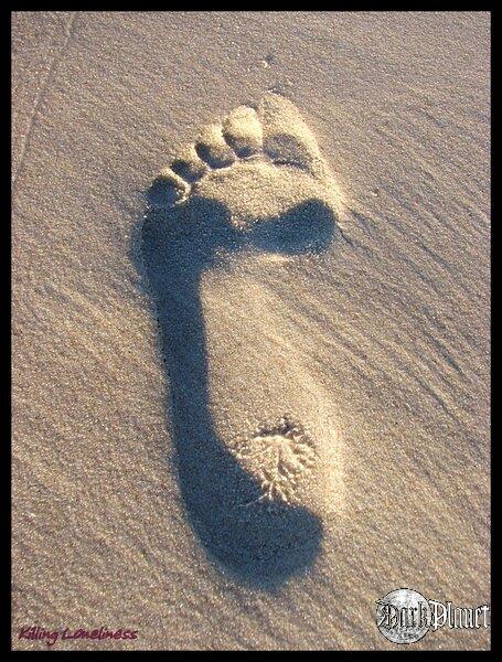 Foot