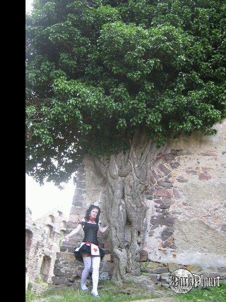 Castle Party 2010 [Queen of Heart]