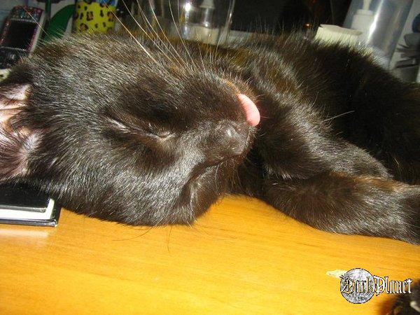 [portrety] dobre zioło nie jest złe  :D