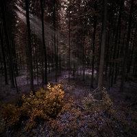 AUTUMNAL - inspirowane muzyką Arcana