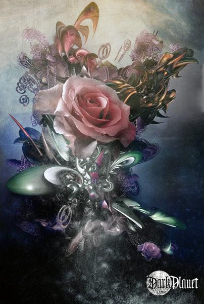 Rose INC