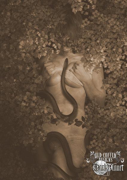 Book Cover for Sale