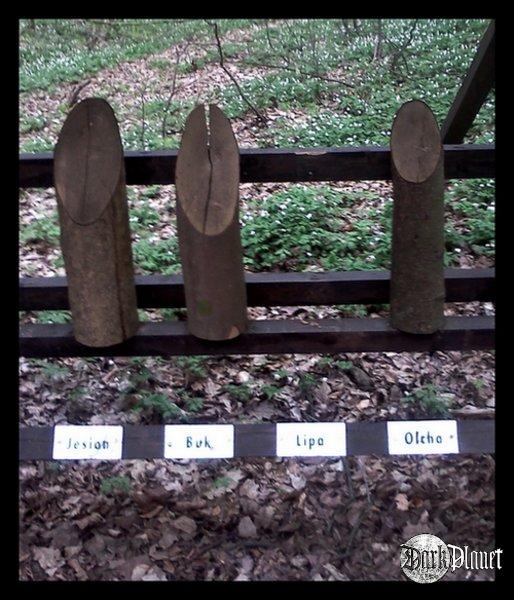 Nie ma LIPY!