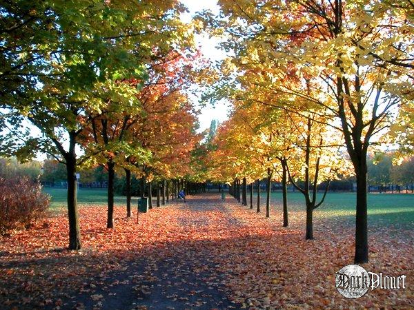 Park Czarnieckiego - Poznań - 2005.10.19. [Natura]